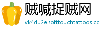 贼喊捉贼网